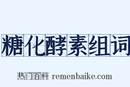 糖化酵素组词是什么意思的图片